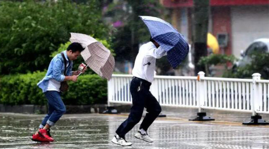 9號臺風(fēng)“馬鞍”生成！金環(huán)電器提醒大家要注意的事項