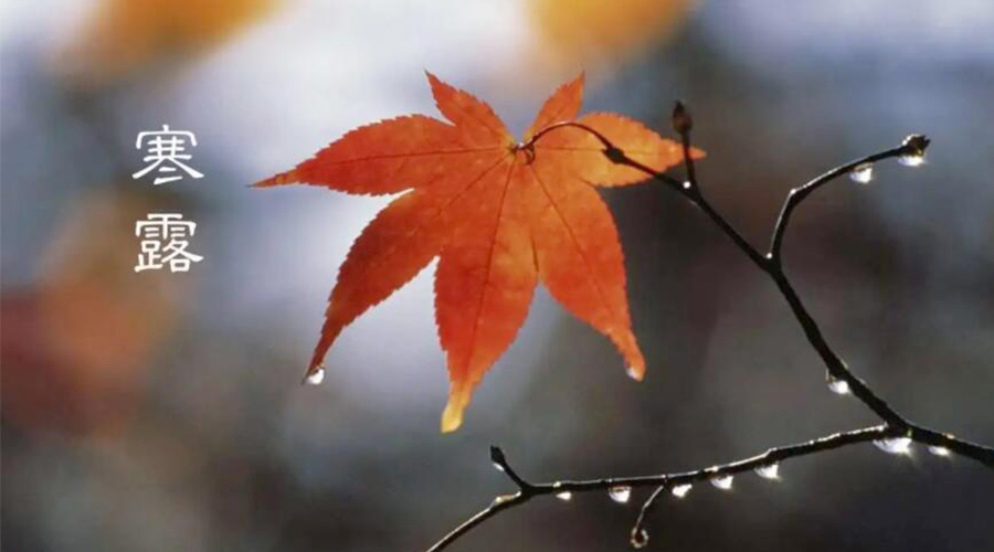 寒露時節(jié)！金環(huán)電器提醒大家要注意的事項