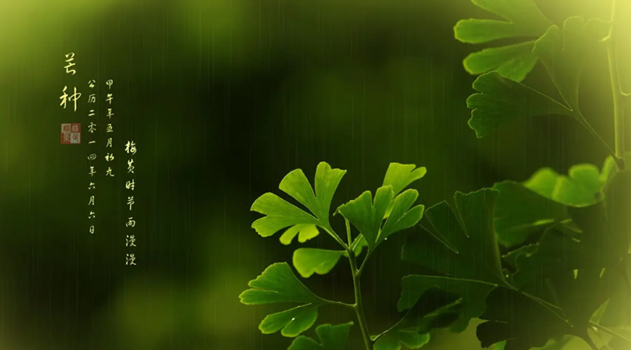 芒種時節(jié)！金環(huán)電器提醒大家的注意事項