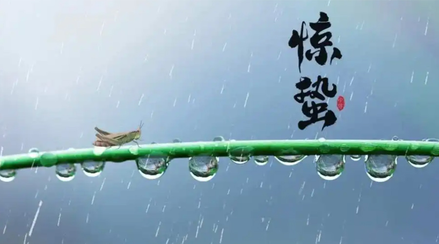 驚蟄時節(jié)！金環(huán)電器提醒大家干衣要注意這些