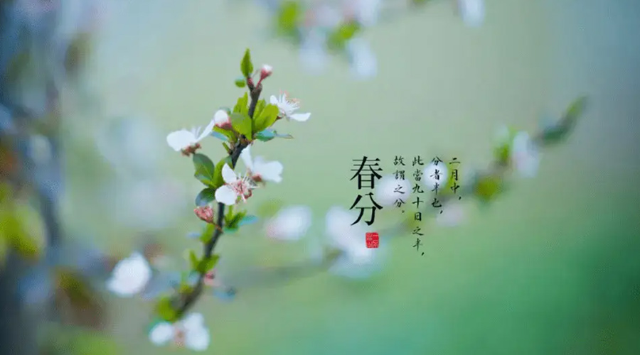 春分雨水多易生菌！金環(huán)電器提醒你衣物要注意處理