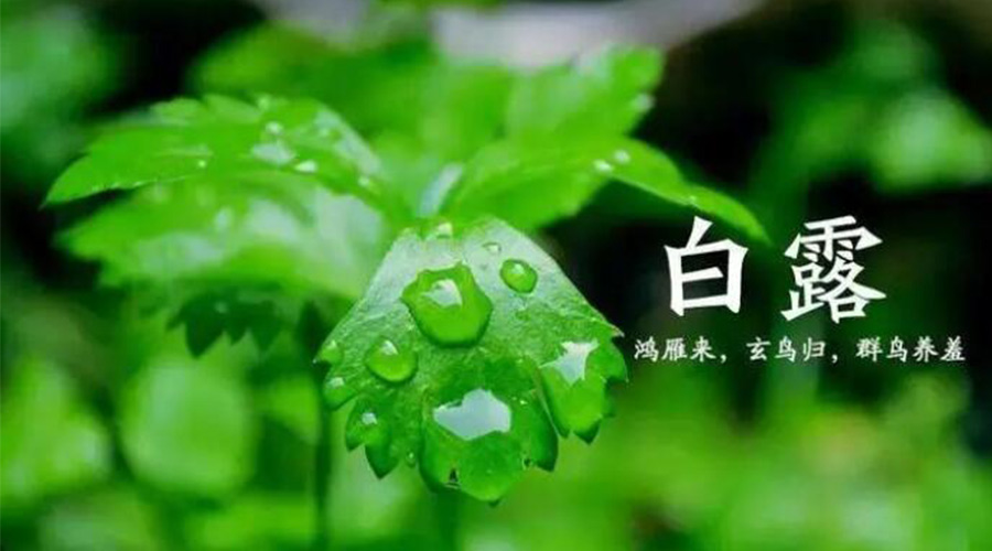 白露時節(jié)！金環(huán)電器提醒大家要注意的事項