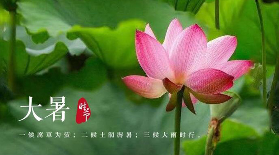 大暑時(shí)節(jié)！金環(huán)電器提醒大家要注意的事項(xiàng)