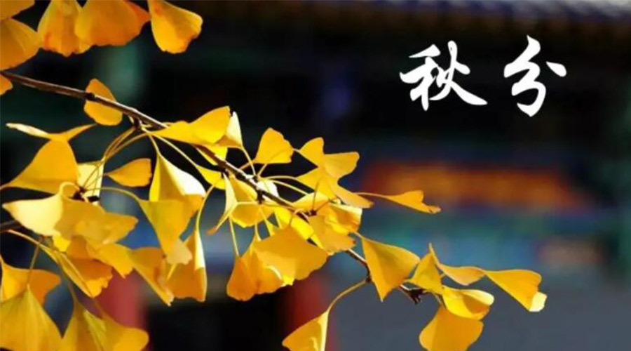 秋分時(shí)節(jié)！金環(huán)電器提醒大家要注意的事項(xiàng)