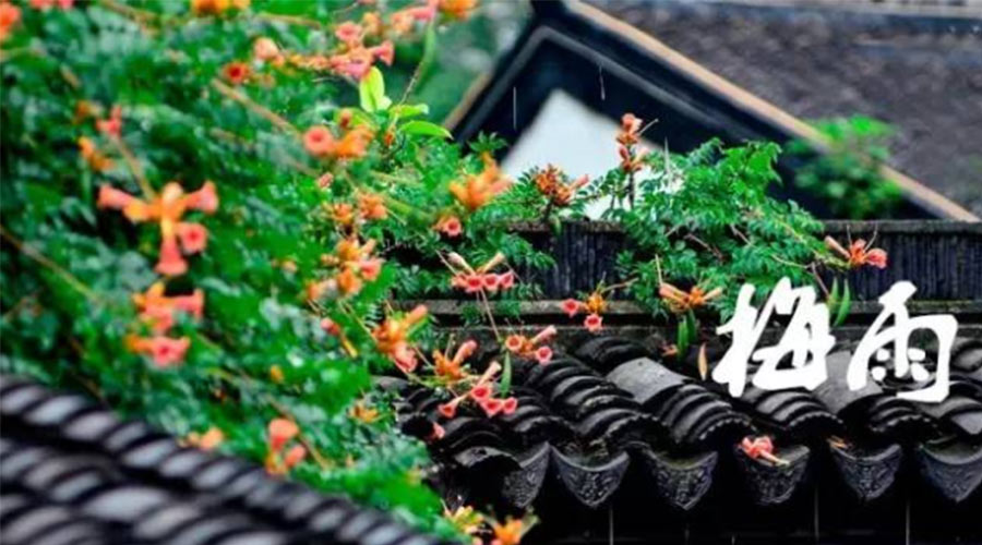 什么是梅雨？梅雨如何形成？  金環(huán)電器告訴你答案